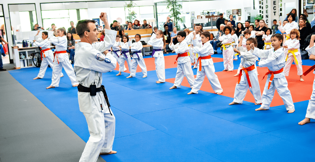 teaching-martial-arts-online