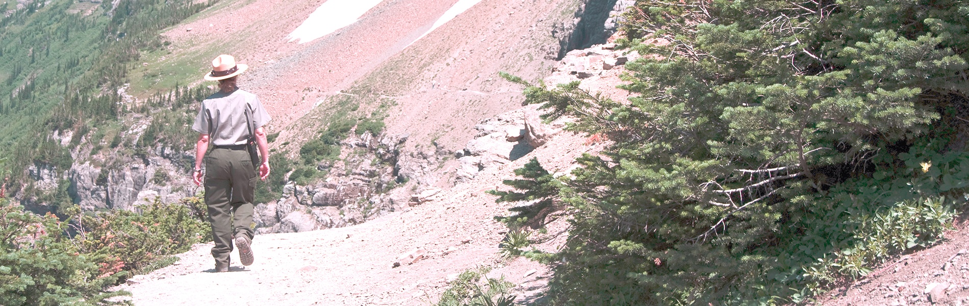 Technology: Your Park Ranger's New Best Friend